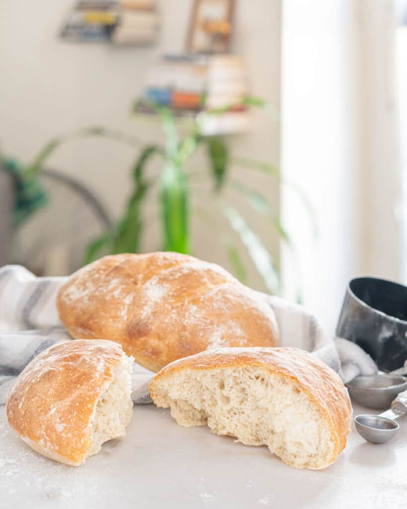 Free Formed Bread PlantBased on a Budget