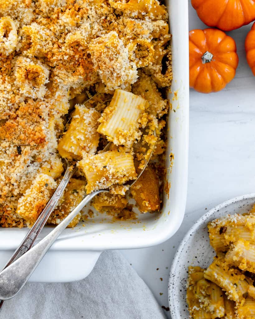 Pumpkin Pasta Bake PlantBased on a Budget