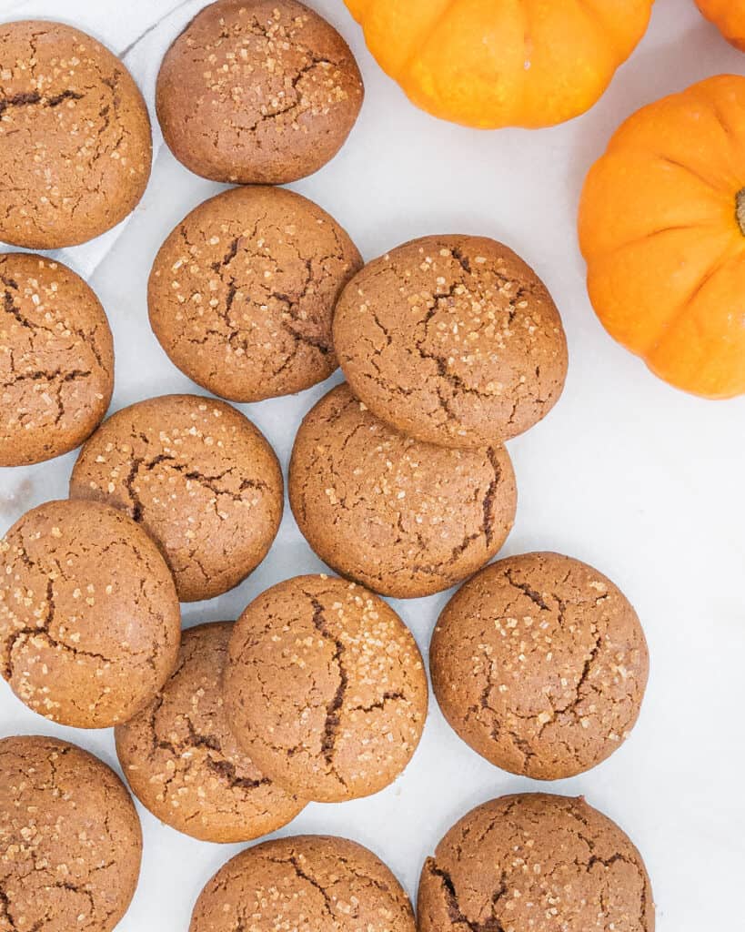 several pumpkin molasses cookies with pumpkin in the background against a white surface