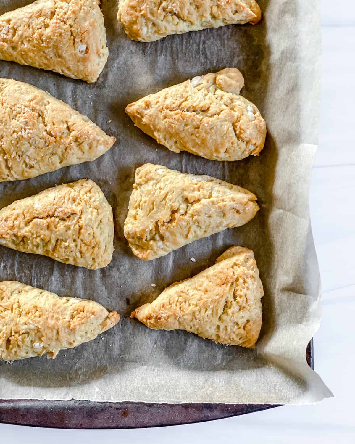 completed vanilla scones on a baking tray
