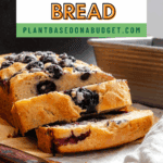Pin for Easy Blueberry Bread [Quick Bread!].