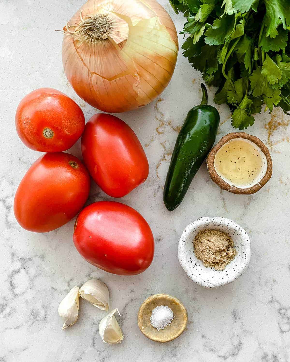 ingredients for Homemade Roasted Red Salsa on a white marble surface
