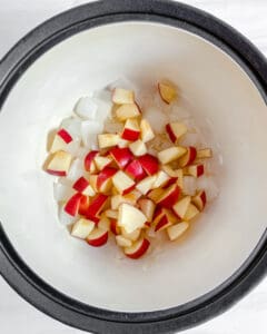 process of mixing apples with onions and spices in a bowl