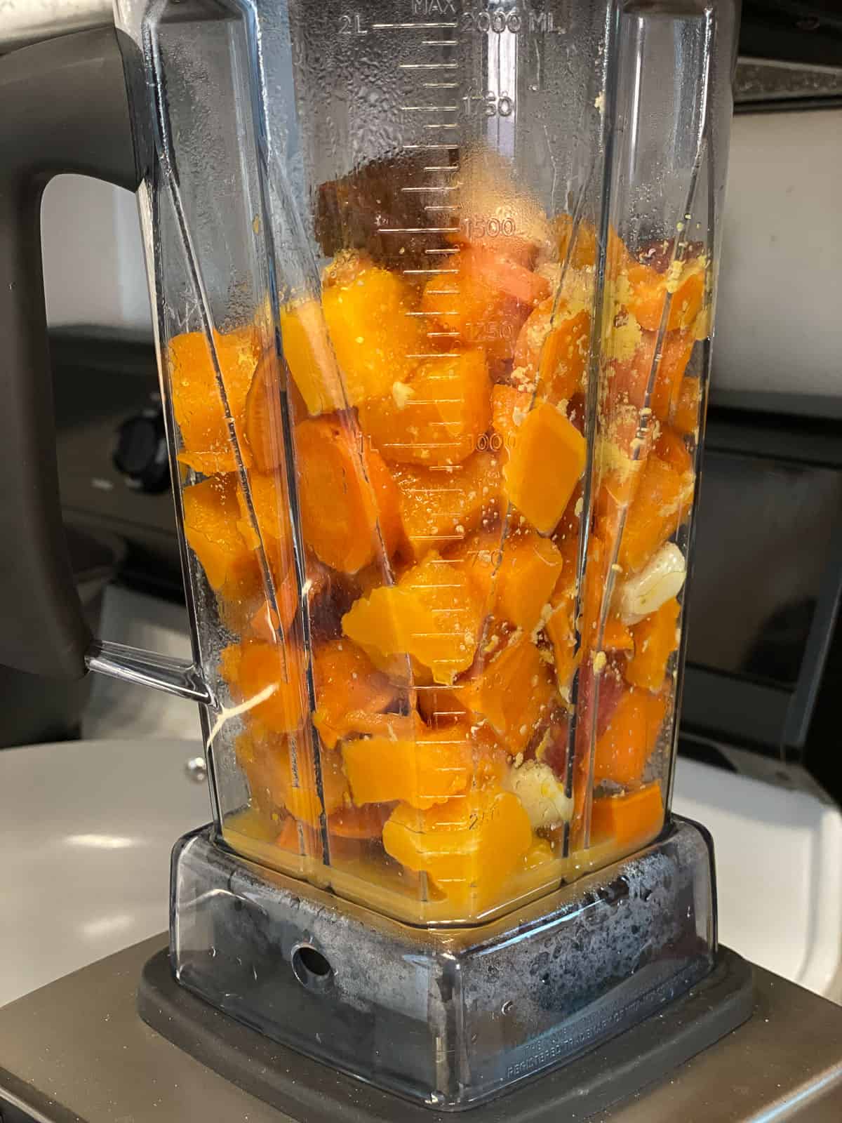 process shot of butternut squash added to food processor