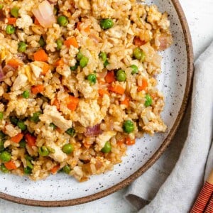 completed Easy Vegetable Brown Fried Rice plated on a white plate against a light background