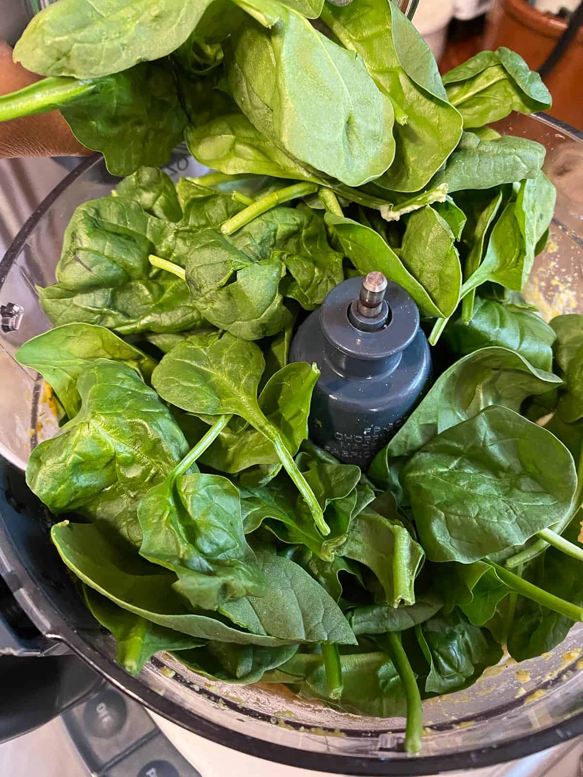 process of spinach being added to food processor