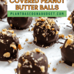Pin for Chocolate Covered Peanut Butter Balls.