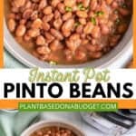pinterest graphic for Instant Pot Pinto Beans