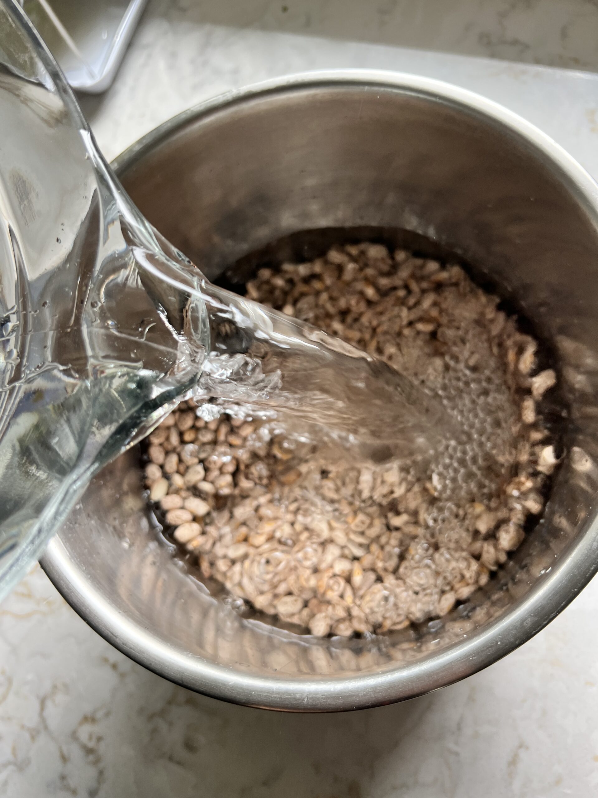 Process shot of adding water to pinto beans in an Instant Pot bowl
