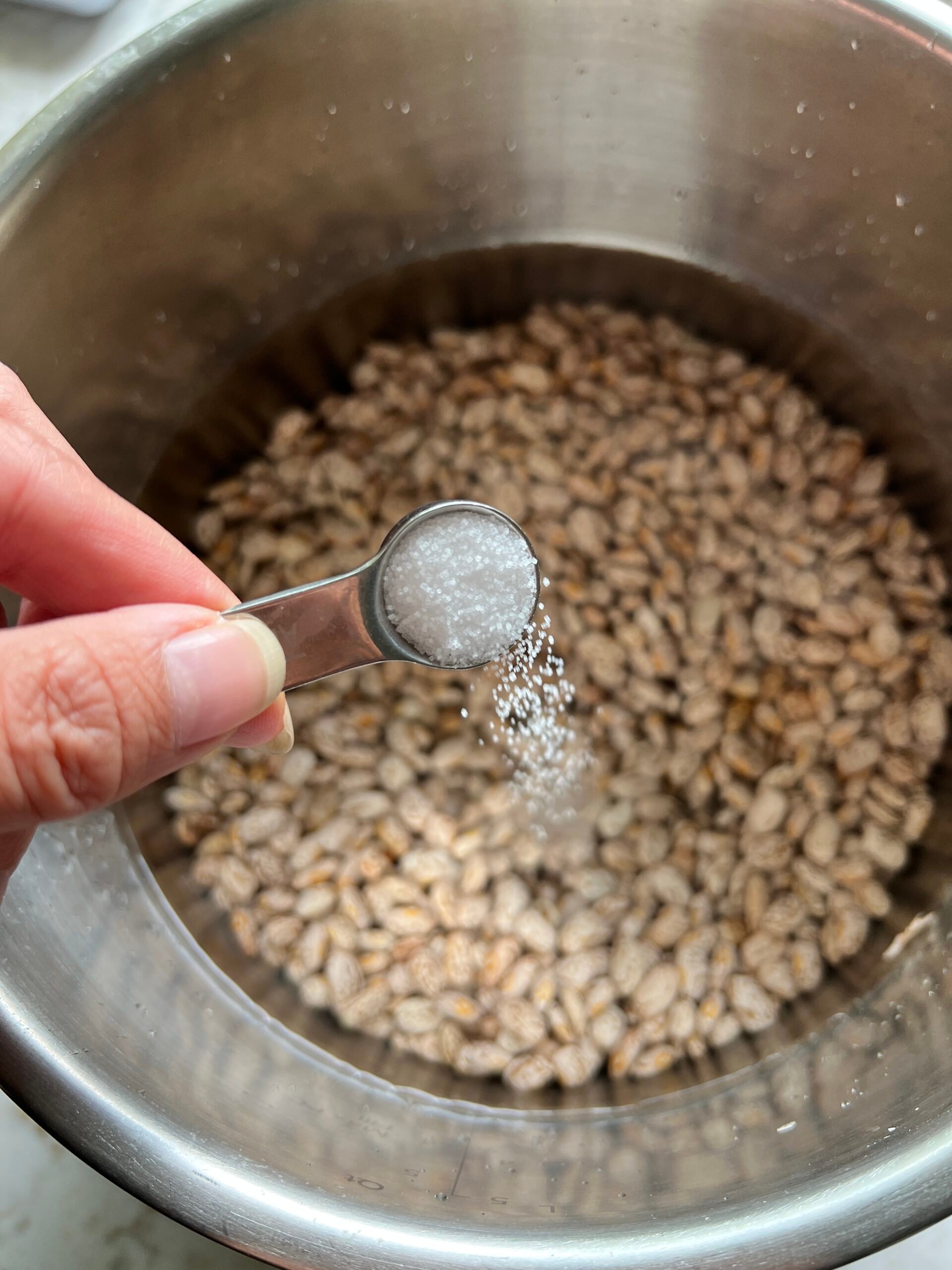 Method of adding salt to a mixture of pinto beans and water