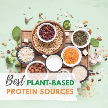 Best Plant Protein Sources 1