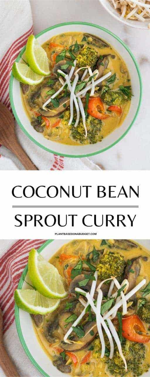 Coconut Bean Sprout Curry