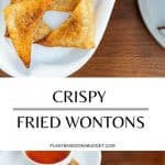pinterest graphic for crispy fried wontons