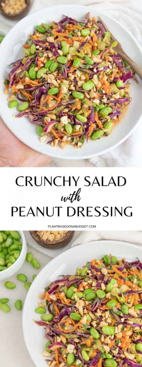 Fresh Crunchy Salad with Peanut Dressing | Plant-Based on a Budget | #crunchy #salad #vegan #peanut #dressing #plantbasedonabudget