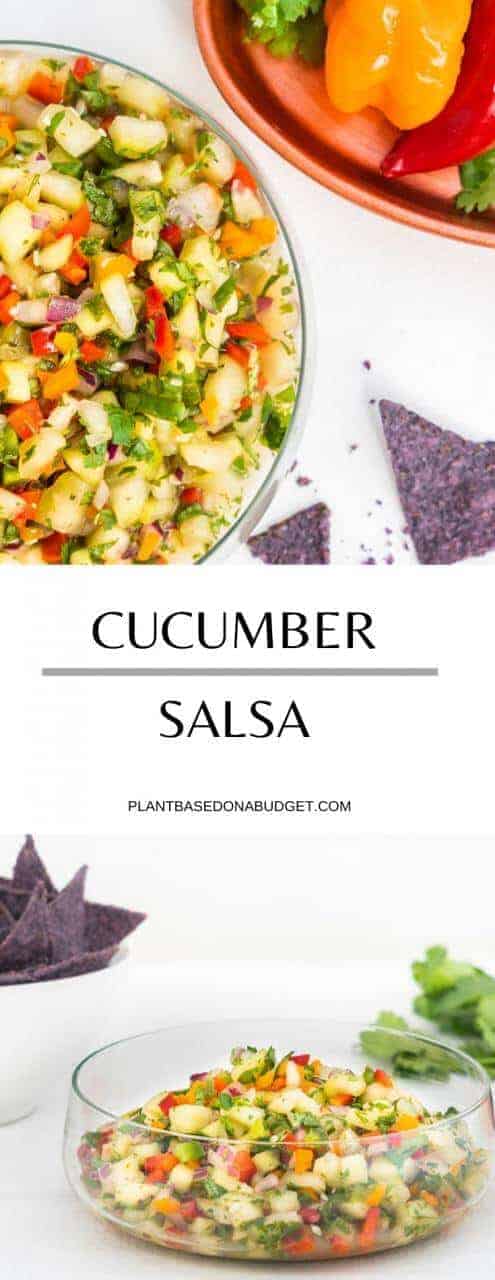 Cucumber Salsa | Plant-Based on a Budget | #salsa #cucumber #mexican #vegan #dip #plantbasedonabudget