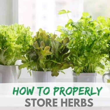 How to Properly Store Herbs