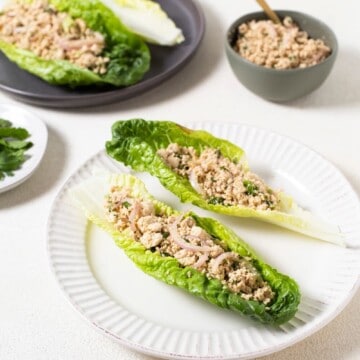 Larb Salad Recipe 1 1