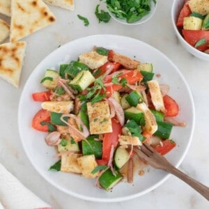 Pita Panzanella salad in a white bowl with a fork.