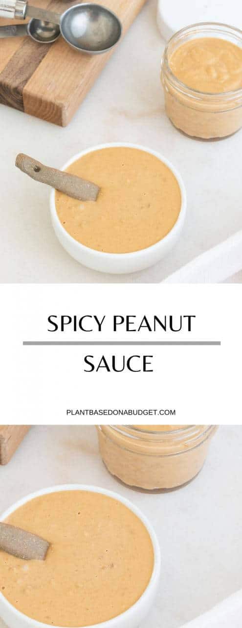 Spicy Peanut Sauce | Plant-Based on a Budget | #spicy #peanut #sauce #dip #vegan #plantbasedonabudget