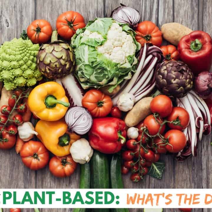 Vegan vs Plant Based Graphic