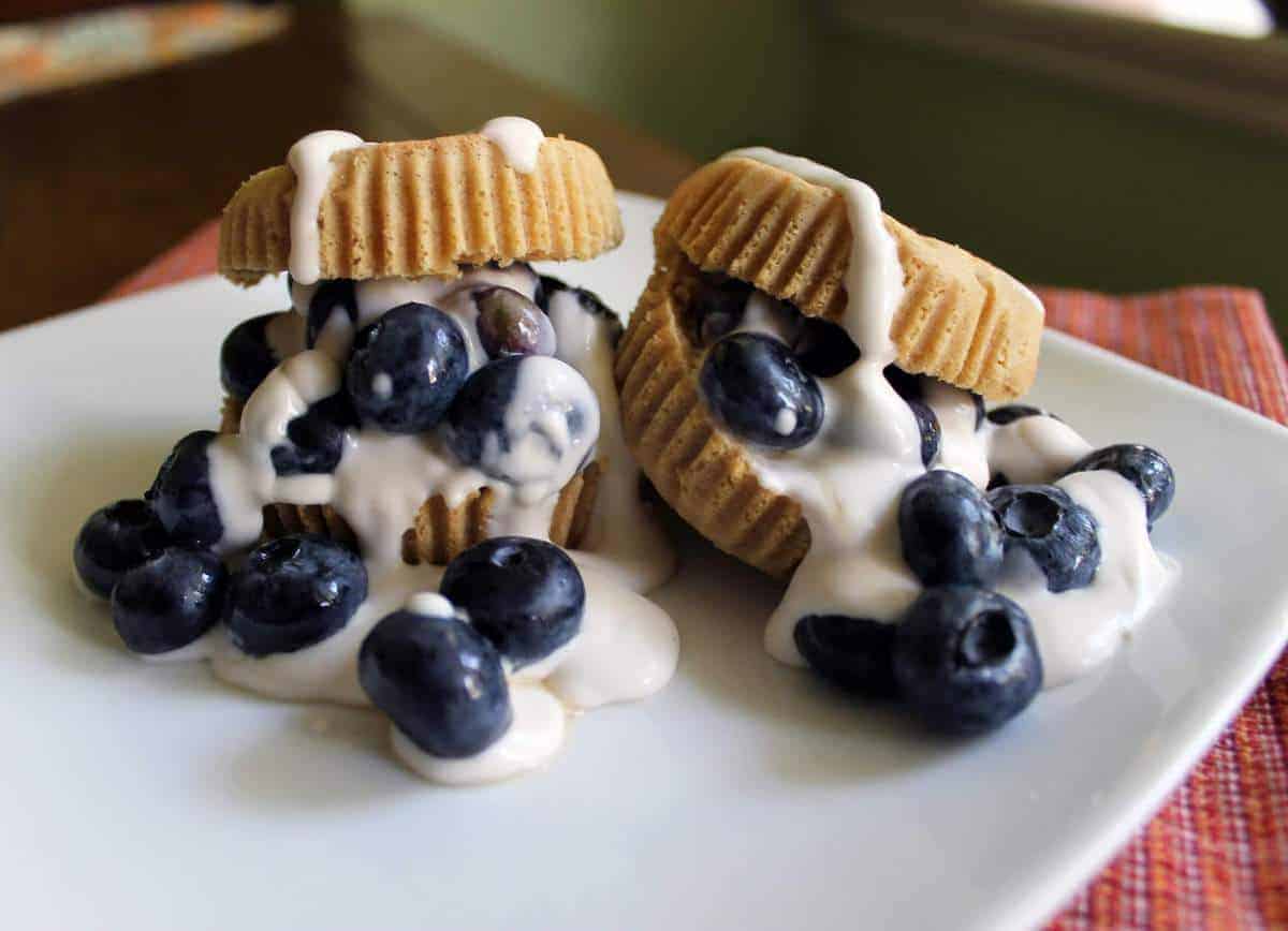 Two blueberry shortcakes on a white plate.