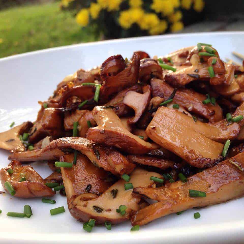 Garlic and thyme sauteed mushrooms on a white plate.