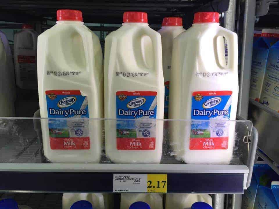 Half gallons of whole milk on a grocery shelf.