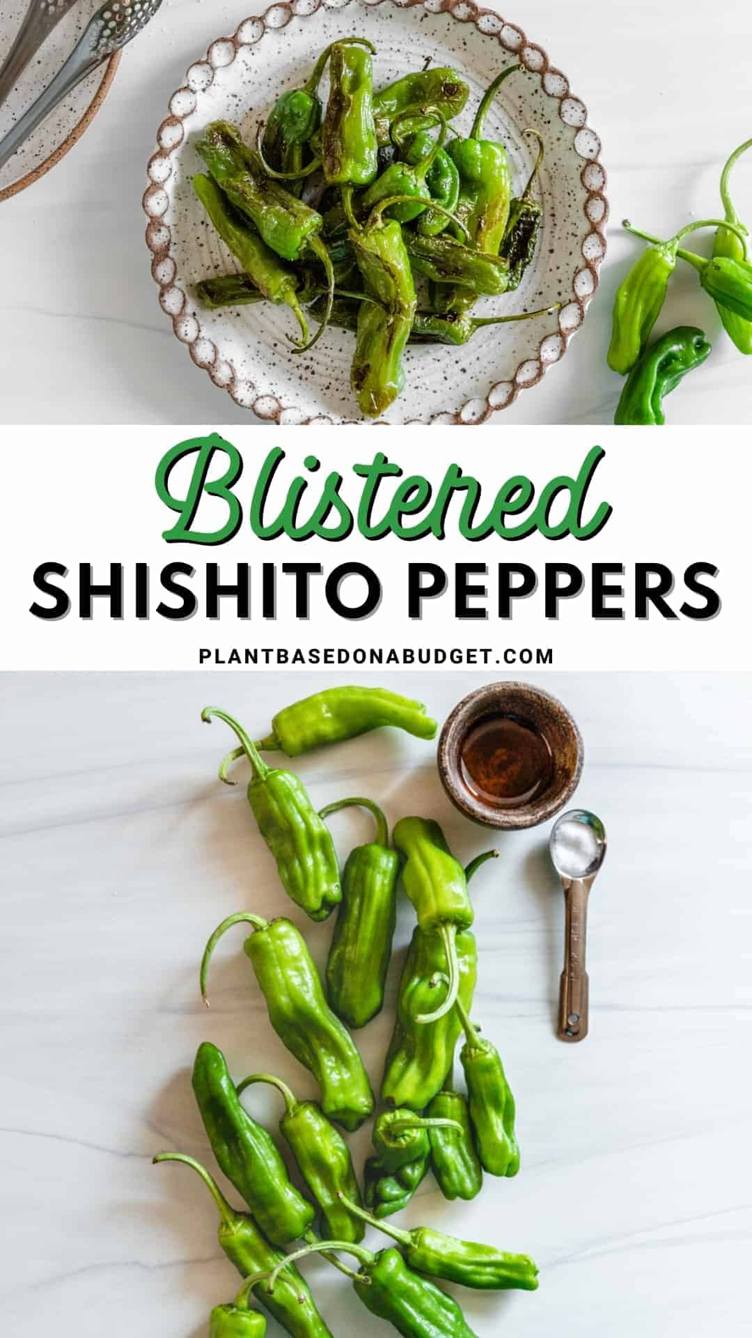 pinterest graphic for Blistered Shishito Peppers
