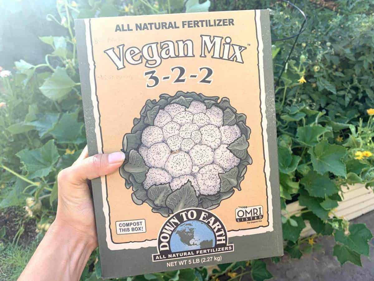 one box of vegan fertilizer mix with a green leafy background
