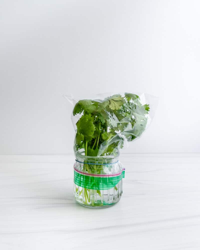 A sandwich baggie over a bunch of parsley in a glass jar.