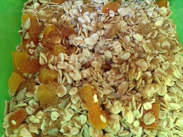 Green bowl of oatmeal, dried apricots, soymilk, and brown sugar.