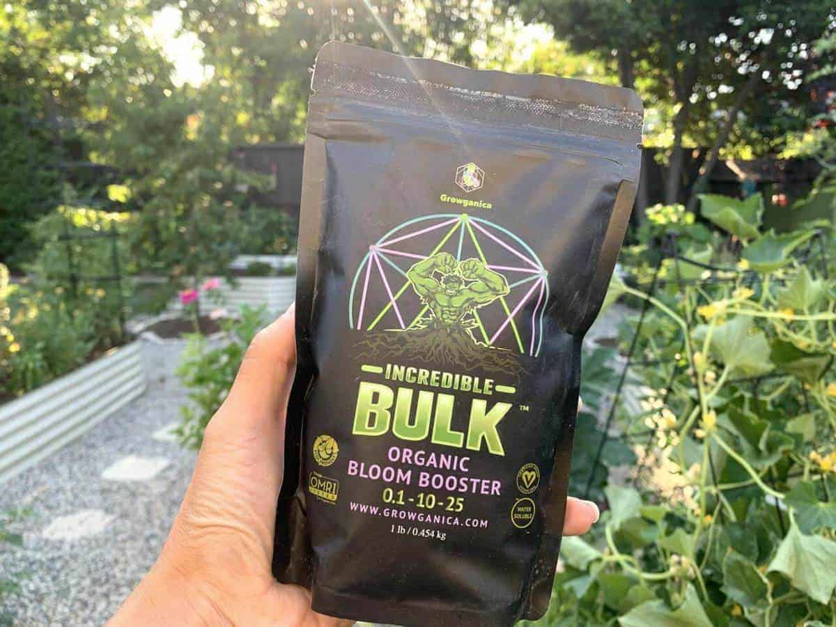 one black bag of vegan fertilizer in a green leafy background