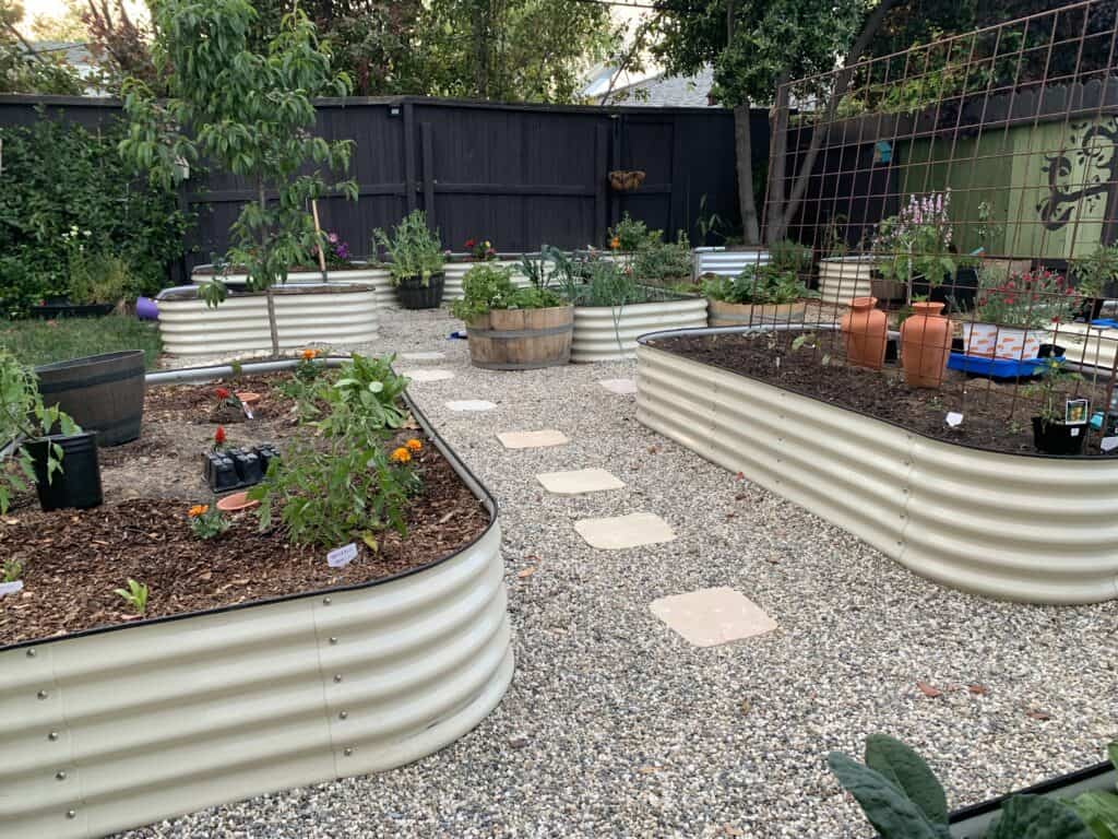 multiple garden beds with various growth and pathway stones shown