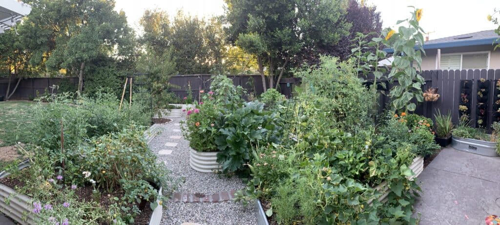 multiple garden beds with various growth and pathway stones shown