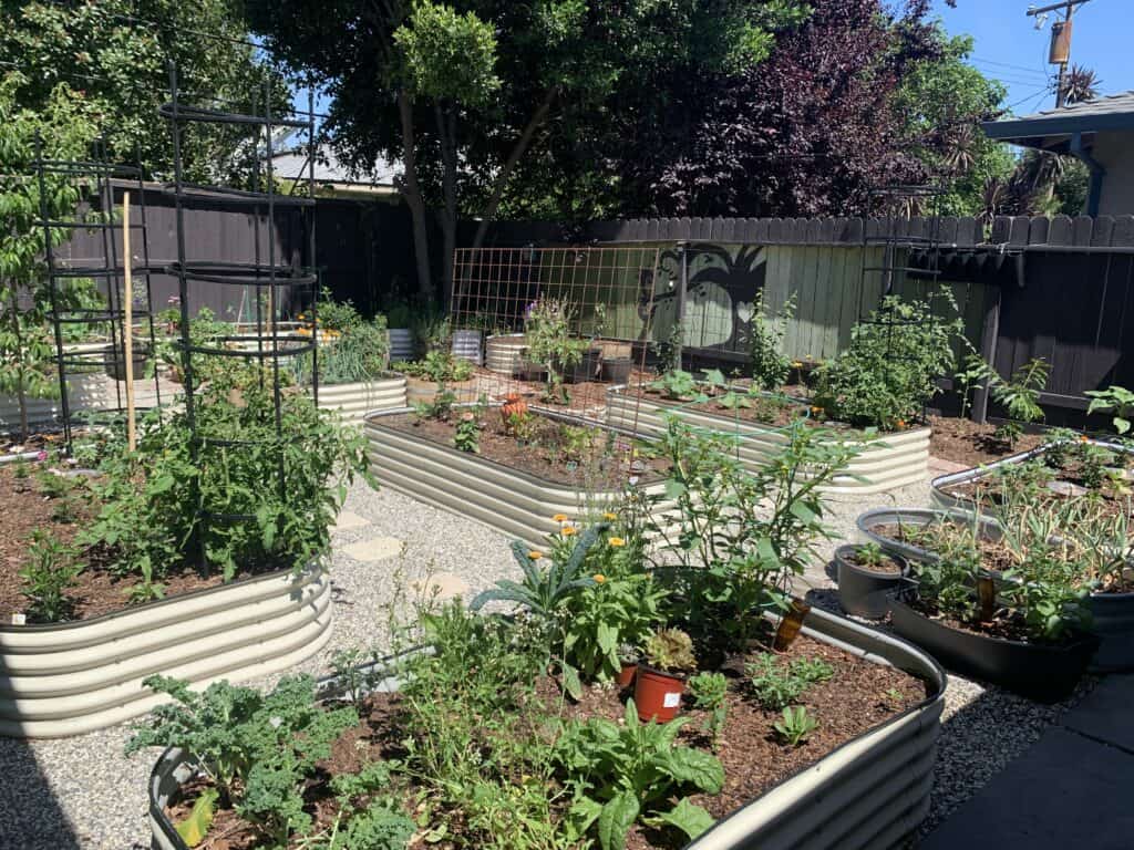 multiple garden beds with various growth and pathway stones shown