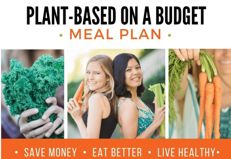 Free Plant-Based on a Budget Meal Plan | 1 Person - Week 2 | You don't have to break the bank to eat healthy vegan meals! | #mealplan #plantbased #vegan #budget #groceries #plan #plantbasedonabudget 