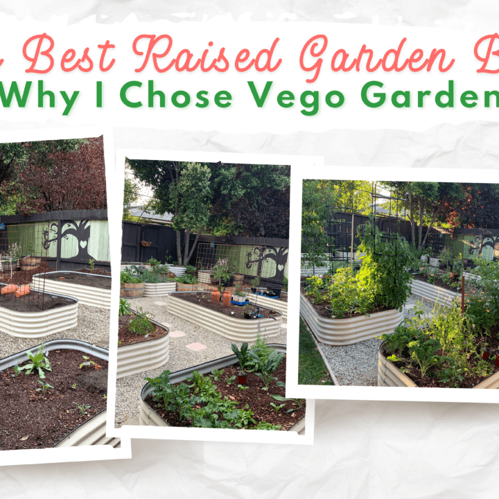 graphic for The Best Raised Garden Bed
