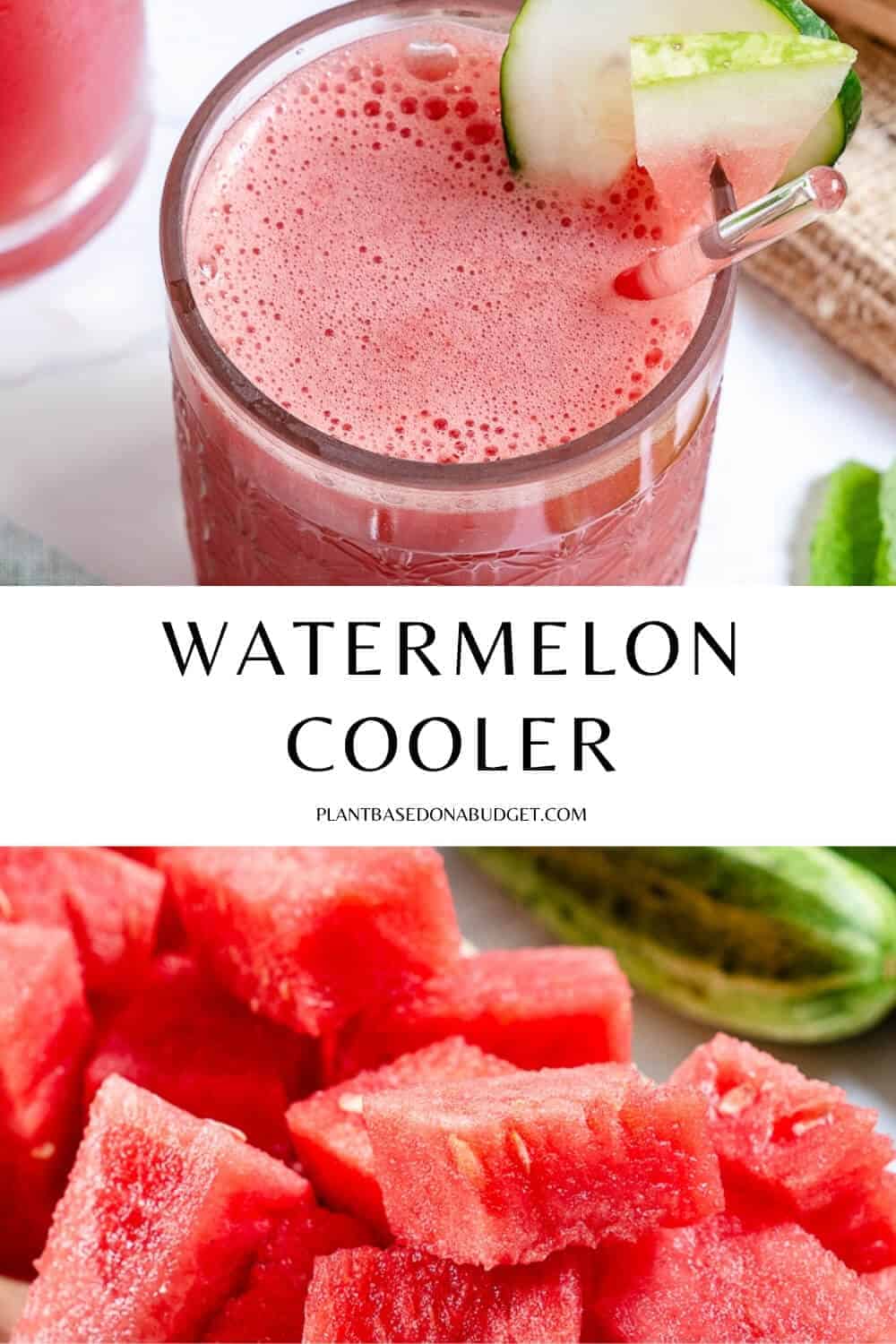 pinterest watermelon cooler graphic