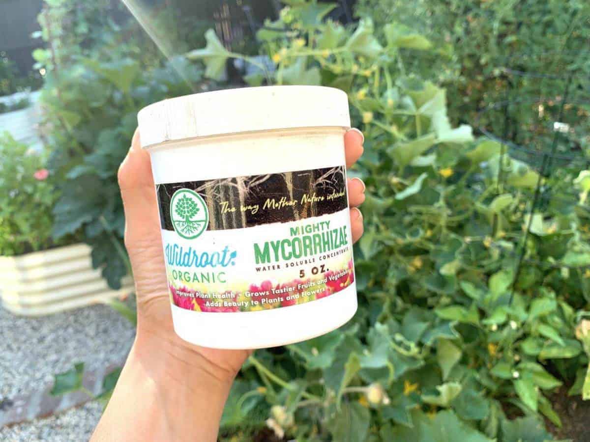 one white tub of vegan fertilizer in a green leafy background