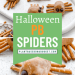 pin for Halloween Peanut Butter Spiders