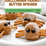 pin for Halloween Peanut Butter Spiders