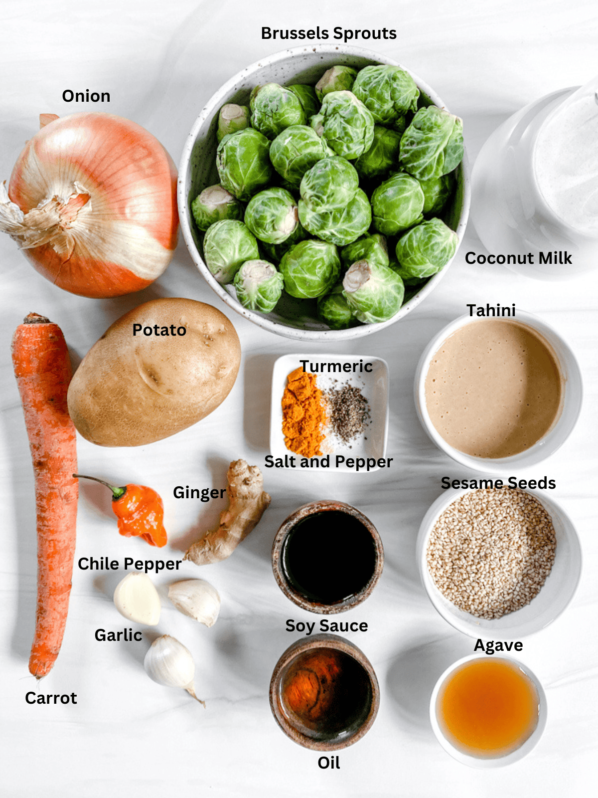 ingredients for Brussels Sprouts Curry measured out on a white surface