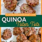 pinterest graphic for Quinoa Tater Tots