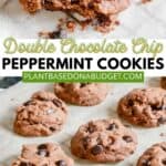 pinterest graphic for Double Chocolate Chip Peppermint Cookies