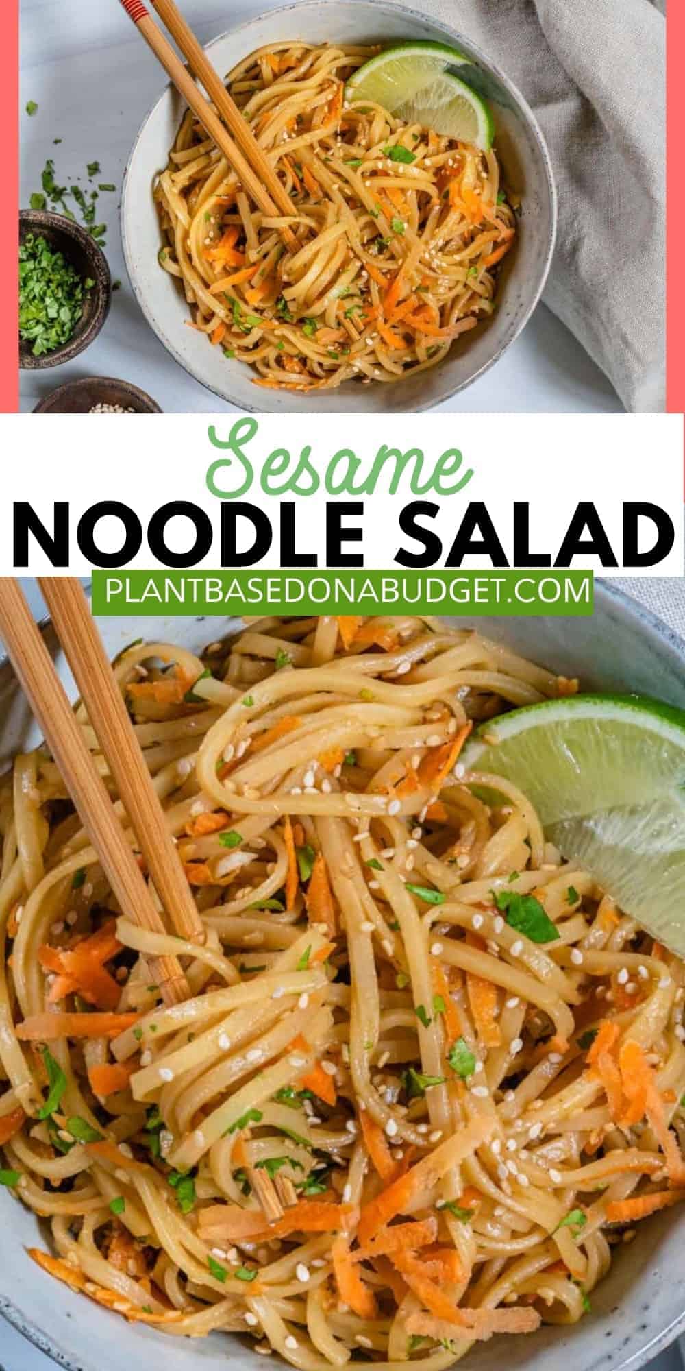 Noodle Salad [Cold Sesame Noodles] - Plant-Based on a Budget