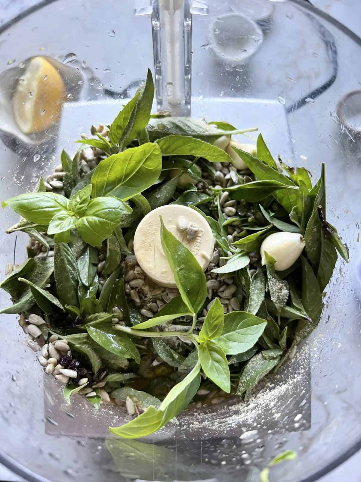 process of adding ingredient for Sunflower Seed Pesto into a blender