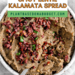 Pin for Spicy Lentil Kalamata Dip.