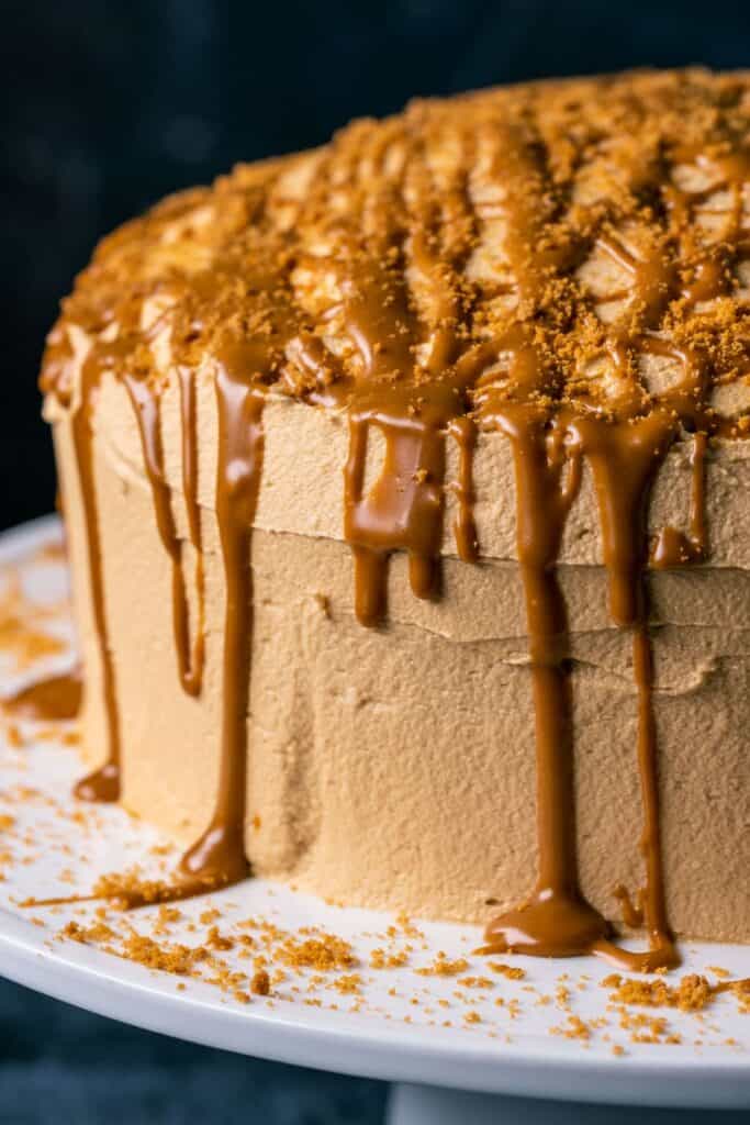completed Vegan Biscoff Cake up close against a black background