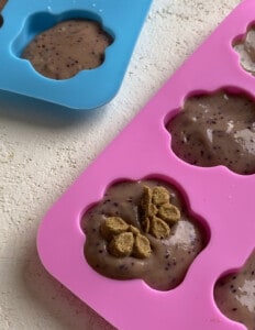 process of blended mixture into mold tray