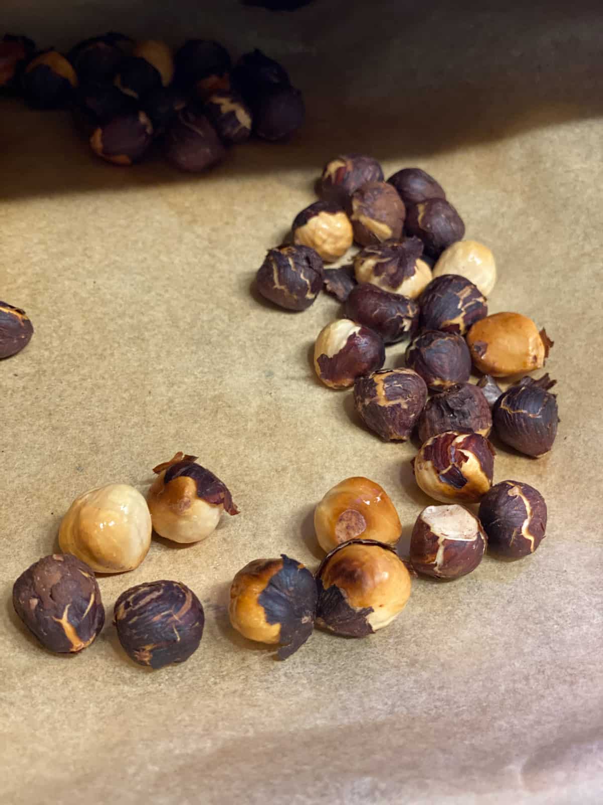 hazelnuts scattered on parchment paper